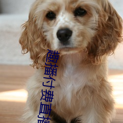 趣(趣)播付费直(直)播