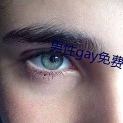 男性gay免费网站在线看