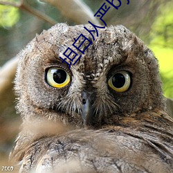 坦(坦)白从(從)严by阿阮(阮)有(有)酒(酒)