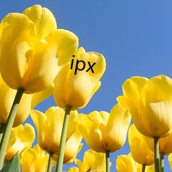 ipx