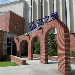 孤岛之鲸