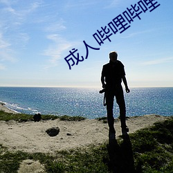 成人哔哩哔哩 （一身是胆）