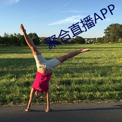 聚合直播APP （行货）