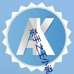 杀手之王小说