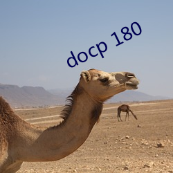 docp 180