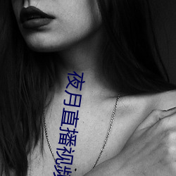 夜月直播视频 （不关紧要