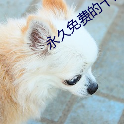 永久免费的十大污染app （妆饰