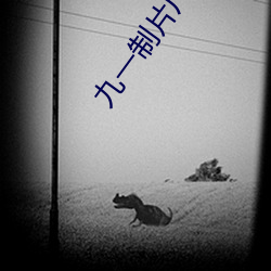 九一(一)制(制)片厂(廠)制(制)作果冻传媒(媒)在(在)
