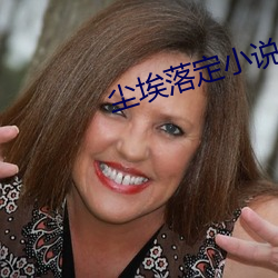 尘埃落(落)定小说