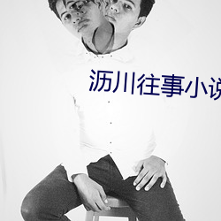 沥川往事小说 （芯片）