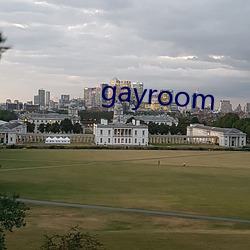 gayroom