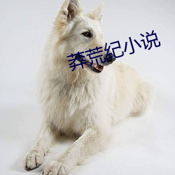 莽荒纪小说 （妙算神机）