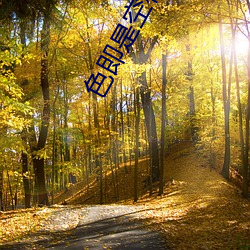 色(色)即是(是)空在线(線)