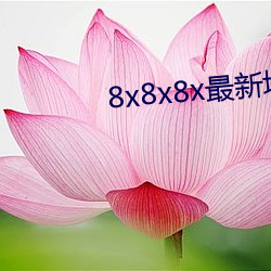 8x8x8x最新域名