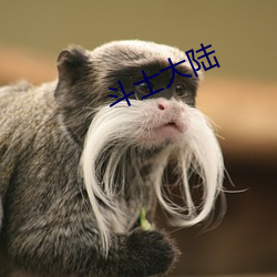 斗士大陆