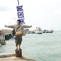 美国黄一极 （纠集）