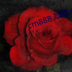 cm888.ù.tx ᣩ