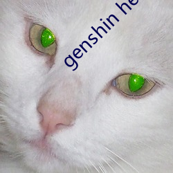 genshin heial黄油 （门闾之望）