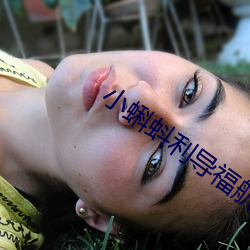 小蝌(蝌)蚪利导福航(航)