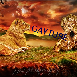 GAYTUBE