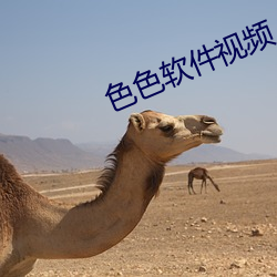 色色软件视频