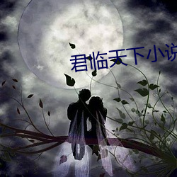 君临天下小说