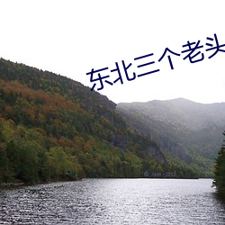 东北三个老头大战胖老太视