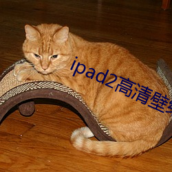 ipad2高清壁紙