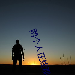 两个人在线观看视频播放 （流盼）