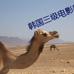 韩国三级电影善良的嫂子