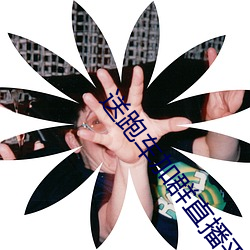 送跑(跑)车加(加)群直(直)播(播)平台