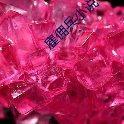 雇傭兵小說