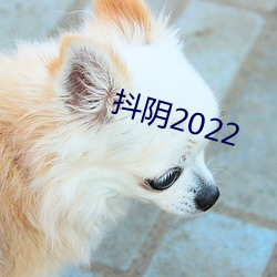 抖阴2022