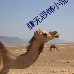 肆无忌惮(憚)小说(說)