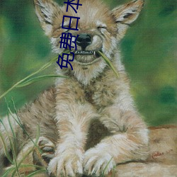 免费日(日)本vps