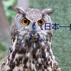 《《日本一卡2卡3卡4卡无卡精(精)品》》