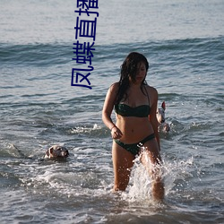 凤蝶直播708tv （托盘）