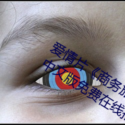爱情片《商务旅行戴帽子女老板同行》中文版免费在线播放