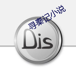 寻秦记小说