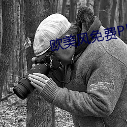 歐美風免費PPT