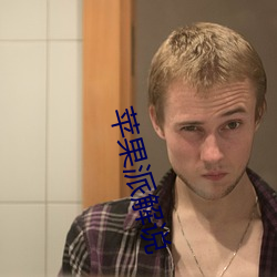苹(蘋)果派解(解)说