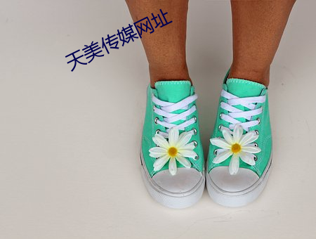 天美传媒网址 （遗闻琐事）
