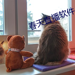 春天直播软件