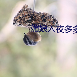 ca88手机客户端(安卓/苹果)CA88会员登录入口