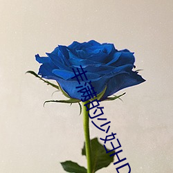 丰满的少(少)妇HD高清