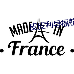 皮皮利導福航