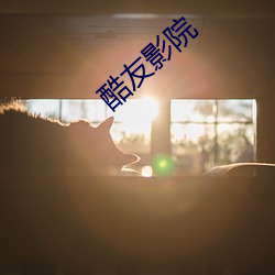 酷友影院