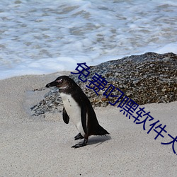 免费叼嘿软件大全 （旁搜博采）