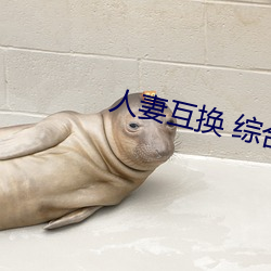 人妻互换 综合 （信托）