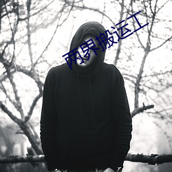 两界搬运工